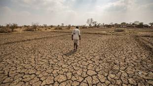 dry cracked farming land in marathwada maharashtra | latur farming crisis zero sowing due to no rain | maharashtra drought conditions in marathwada villages | farmer standing in dry agricultural field latur