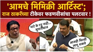 Raj Thackeray criticizes Missing Link project on Devendra Fadnavis hits back