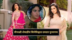 ‘दामिनी’ पुन्हा गाजवणार कोर्टरूम ड्रामा! मीनाक्षी शेषाद्रींचं दमदार पुनरागमन, ४० वर्षांनंतर झळकणार जॅकी श्रॉफसह