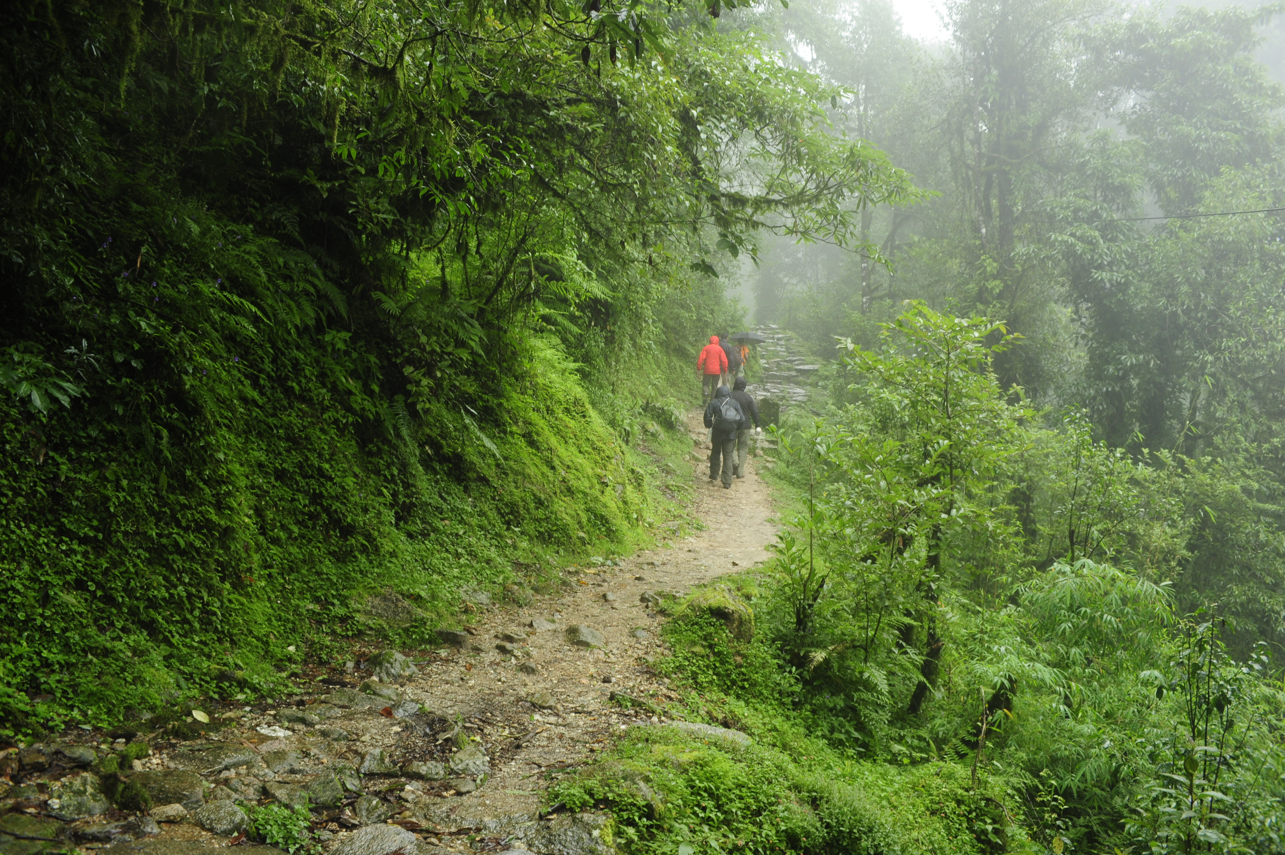 Best monsoon treks near Mumbai