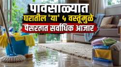 पावसाळ्यात घरातील ‘या’ ५ वस्तूंमुळे पसरतात सर्वाधिक आजार; पाहा स्वच्छ करण्याची योग्य पद्धत!