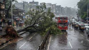 mumbai heavy rain fallen trees | best bus service disrupted in mumbai | mumbai traffic update today | best bus financial loss due to rain | monsoon impact on mumbai transport