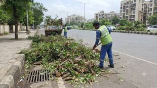 Navi Mumbai tree pruning debris | Green waste management issue in Navi Mumbai | NMMC tree cutting campaign news | Roadside tree branch pile up after pruning | Monsoon tree collapse Navi Mumbai