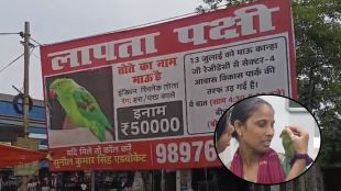Agra family offers 50k reward for lost pet parrot | Mow the lost parrot reunited with owner in Agra