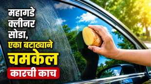 potato Car Cleaning Hack