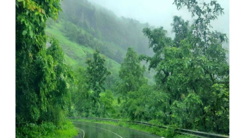 pune-ghat-red-alert-vidarbha-heavy-rain-warning-mahaNature Conservation Day 2026 environmental crisis impact | Climate change threat to human survival and biodiversity | निसर्ग संवर्धन दिन २०२६ पर्यावरण संवर्धन महत्त्व | हवामान बदल आणि जंगलतोड मानवी अस्तित्वाला धोका
Nature Conservation Day 2026 environmental crisis impact | Climate change threat to human survival and biodiversity | निसर्ग संवर्धन दिन २०२६ पर्यावरण संवर्धन महत्त्व | हवामान बदल आणि जंगलतोड मानवी अस्तित्वाला धोका
