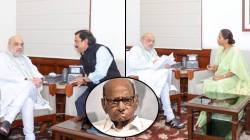 राष्ट्रवादी काँग्रेसच्या विलिनीकरणावर शरद पवारांची एका वाक्यात प्रतिक्रिया; म्हणाले…