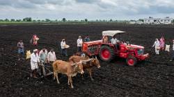 पावसाअभावी पेरण्यामध्ये निम्म्याने घट; राज्यात सरासरीच्या २८ टक्के, ४४.३९ लाख हेक्टरवर पेरा