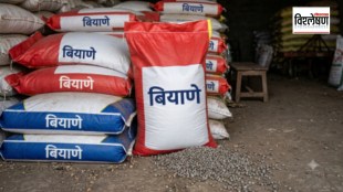 Soybean Seed Fraud