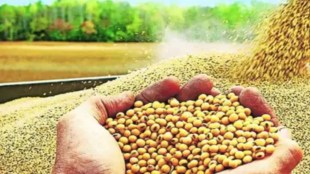 Mahabeej Soybean Seeds Defective: 581 Complaints Filed