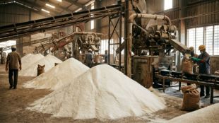 sugar-price-rise-limited-benefit-to-factories-bhanudas-murkute