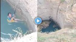 देव तारी त्याला…! ऑनलाईन जुगाराच्या नादात नराधमाचं कृत्य; दागिने लुटून महिलेला विहिरीत ढकललं, २१ तासांच्या थरारानंतर बचाव