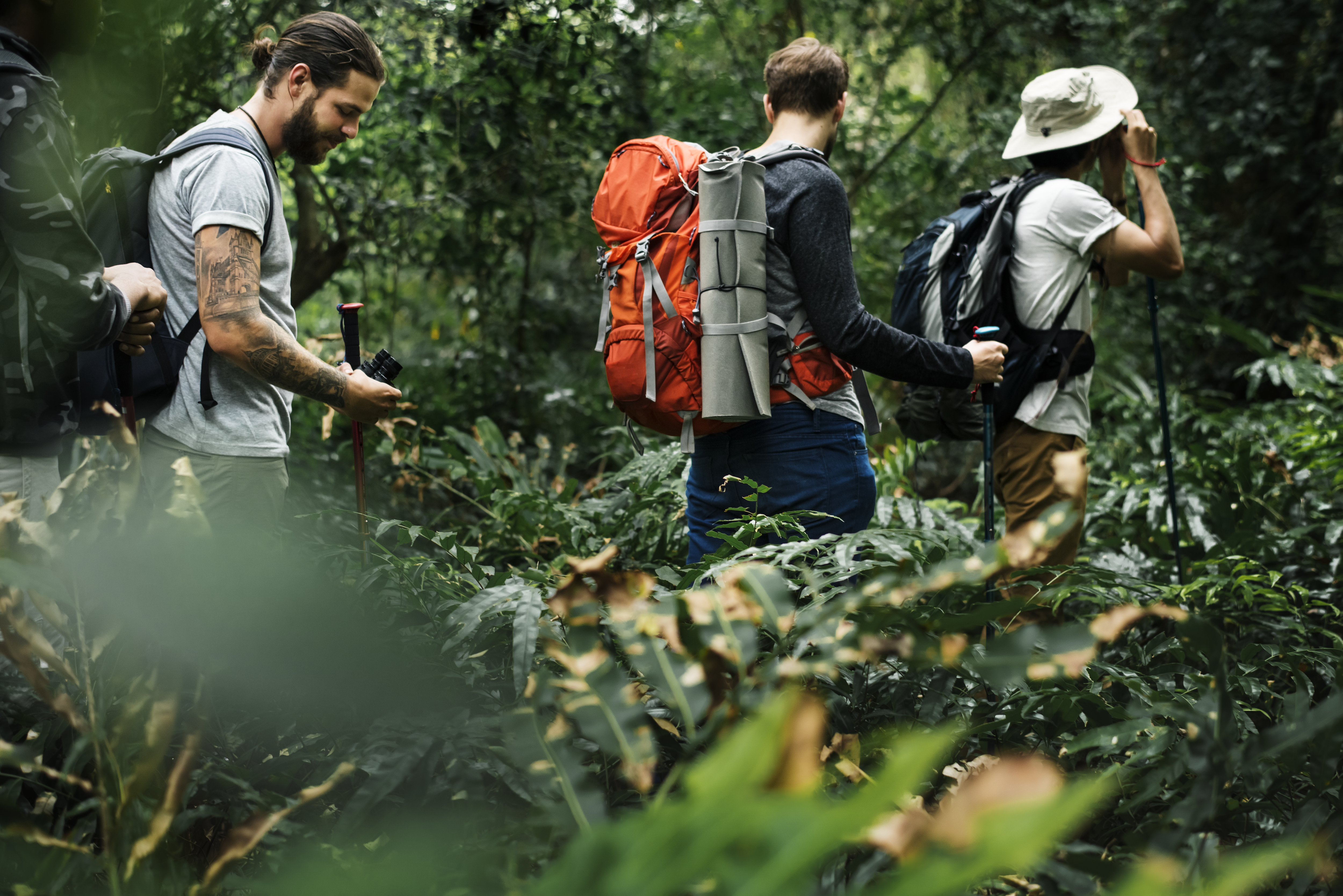 Best monsoon treks near Mumbai