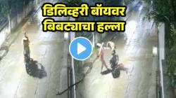 डिलिव्हरी बॉयवर बिबट्याने मारली झडप! डिलिव्हरीसाठी निघालेल्या गाडीवर थेट मारली उडी अन्…; VIDEO चा शेवट पाहून उडेल थरकाप