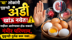 ‘या’ लोकांनी चुकूनही अंडी खाऊ नयेत! नाहीतर आरोग्यावर होऊ शकतो गंभीर परिणाम, चुकूनही दुर्लक्ष करू नका…