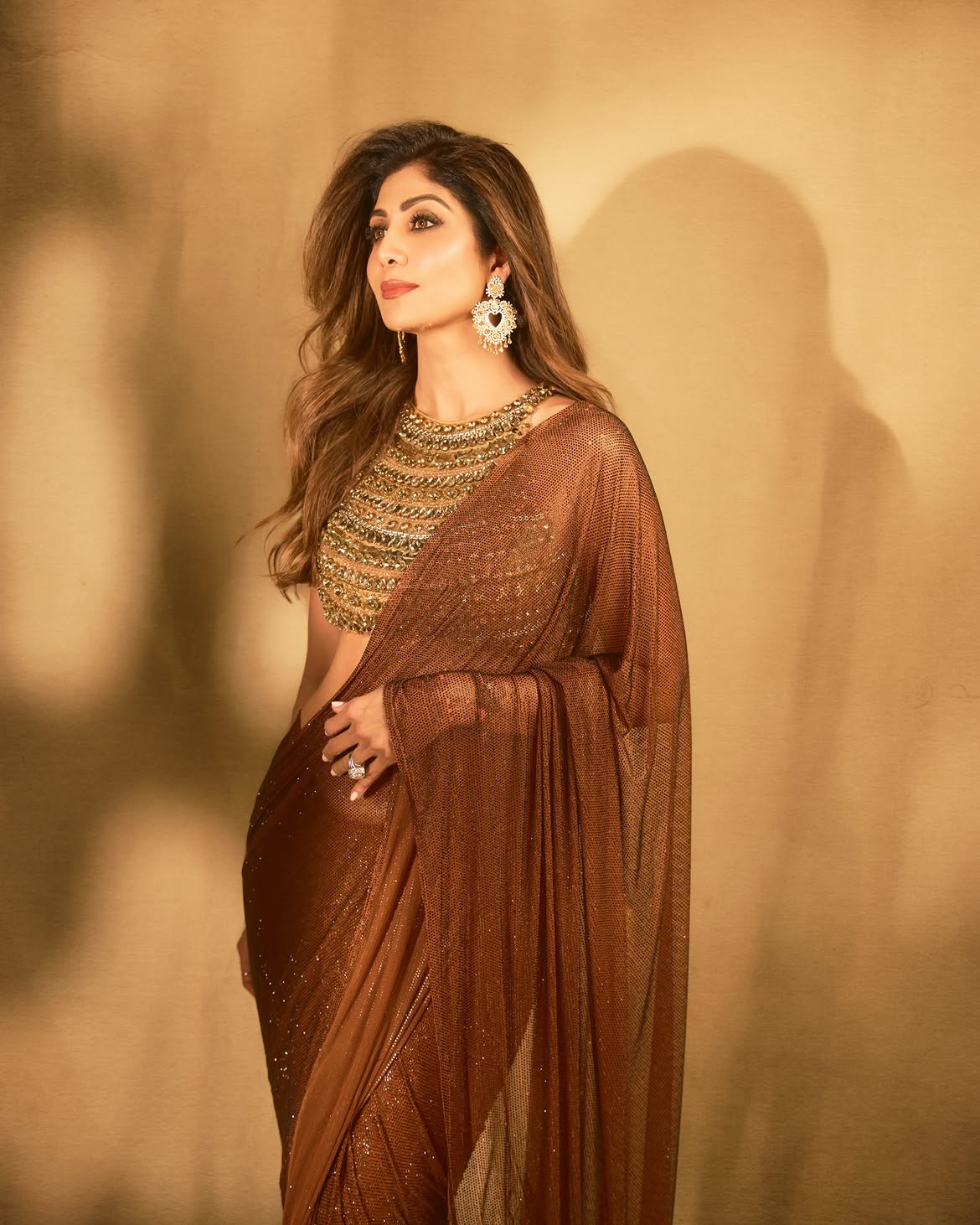 Shilpa Shetty brown saree look