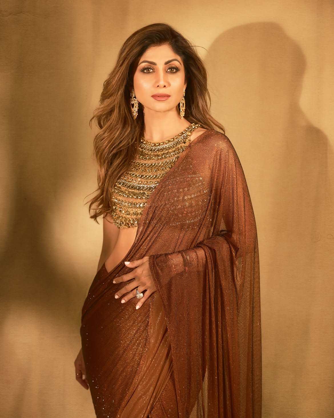 Shilpa Shetty brown saree look