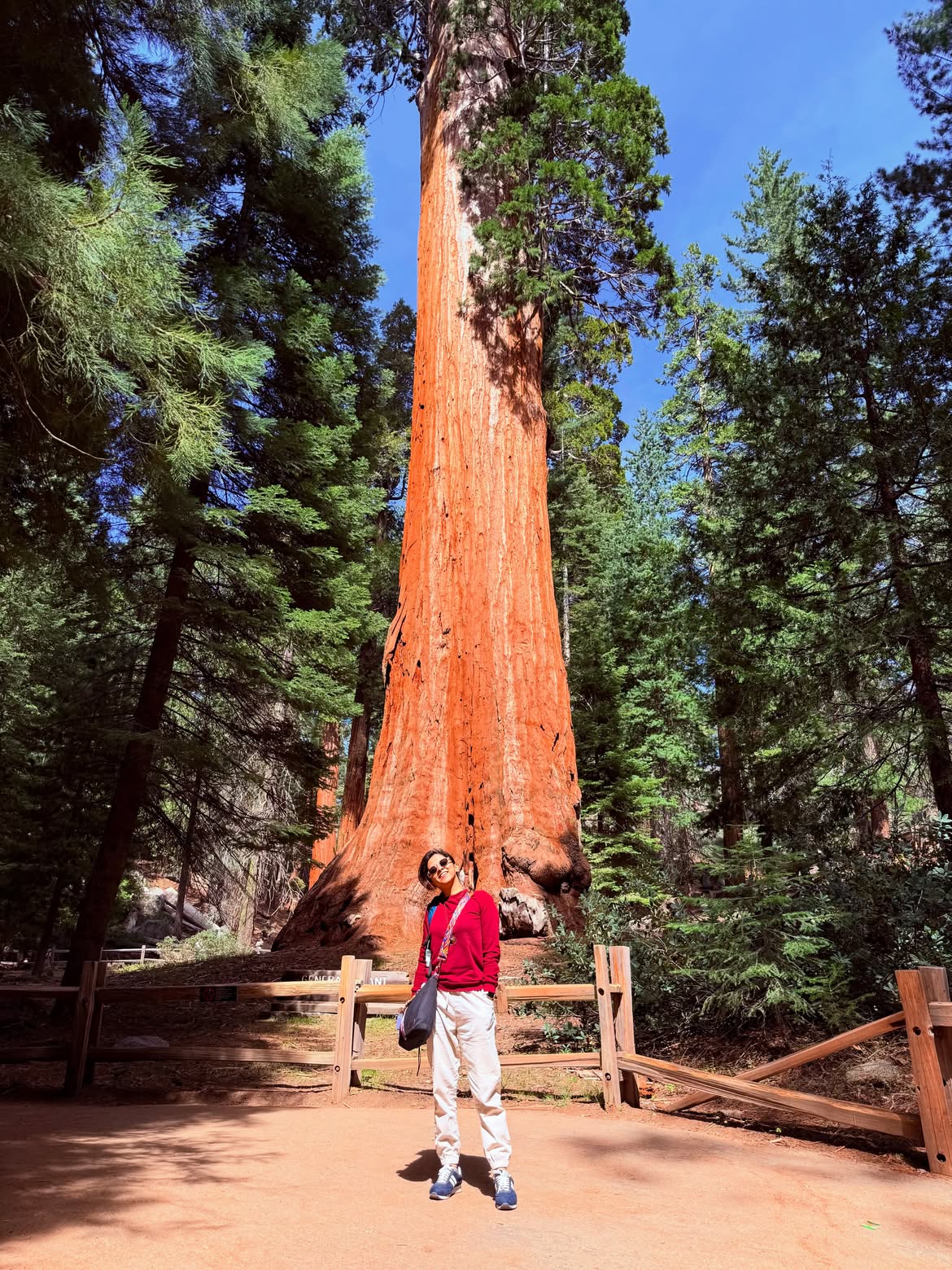 Kaumudi Walokar in Sequoia National Park