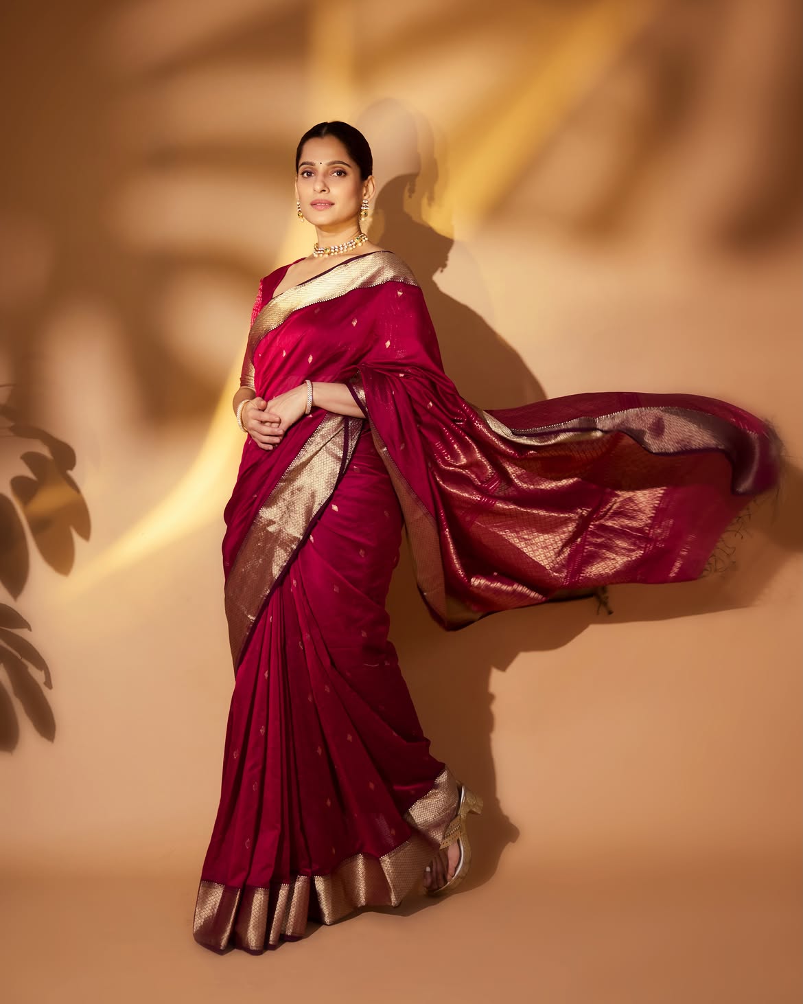 Priya Bapat saree look