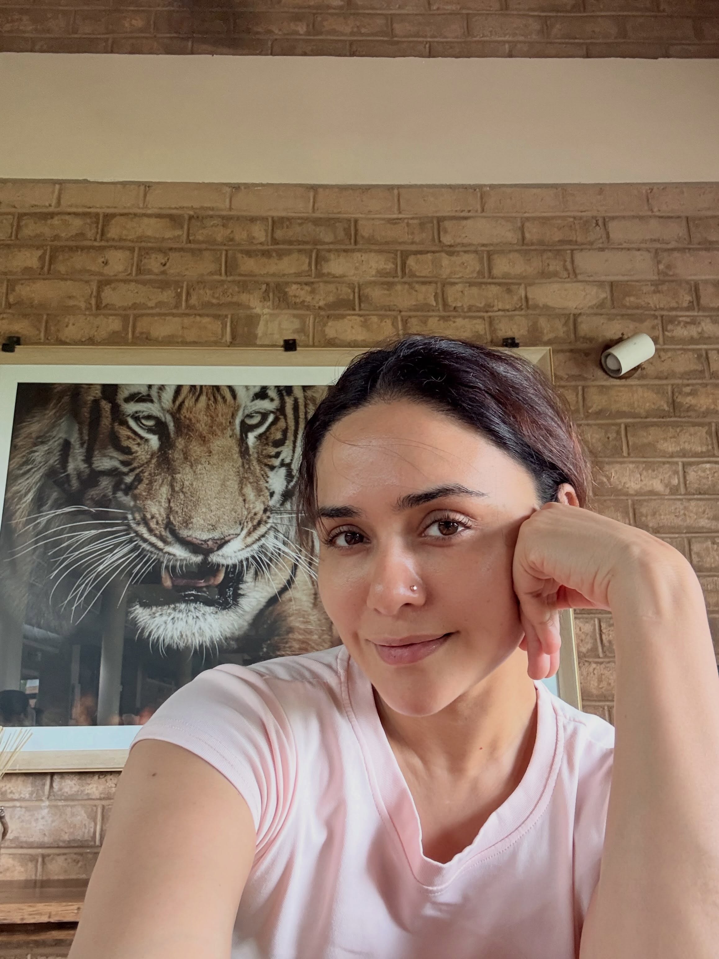 Amruta Khanvilkar Tadoba safari photos