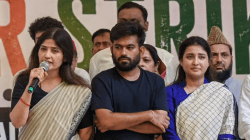 ‘भाजपाचा पराभव शक्य’; कॉक्रोच जनता पार्टीच्या आंदोलनाला डिंपल यादव यांनी म्हटले ‘संजीवनी बुटी’