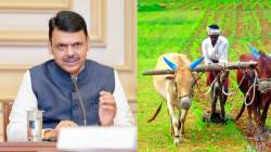 कर्जमाफीचा ५ हजार कोटींचा पहिला हप्ता वितरित, दुसरा हप्ता कधी जमा होणार? मुख्यमंत्री फडणवीसांची मोठी माहिती