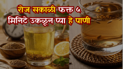 पचनासाठी ‘अमृत’ आहे ओवा! सकाळी रिकाम्या पोटी प्या हे पाणी; गॅस, अ‍ॅसिडिटी अन् पोटातील जडपणा होईल गायब!