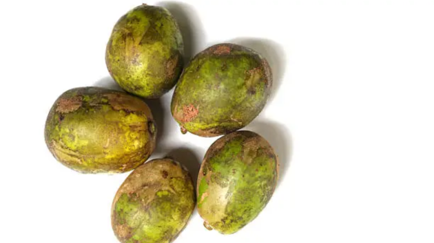 Lesser-known fruits of India