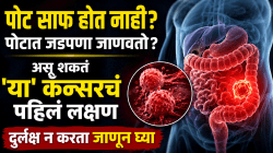 पोट साफ होत नाही? पोटात जडपणा जाणवतो? असू शकतं ‘या’ कॅन्सरचं पहिलं लक्षण, दुर्लक्ष न करता जाणून घ्या