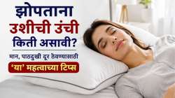 तुम्हीही वर्षानुवर्षे एकच उशी वापरताय? ‘या’ ५ गंभीर समस्यांना पडू शकता बळी; वेळीच उशी बदला!