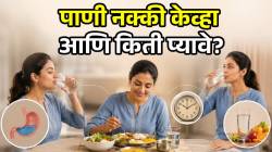 जेवताना थोडे-थोडे पाणी की जेवणानंतर ३० मिनिटे थांबावे? पाणी नक्की कधी आणि किती प्यावे; डॉक्टरांनी दिली माहिती