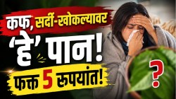 घशात साचलेला कफ झटक्यात पडेल बाहेर, सर्दी-खोकल्यापासून मिळेल लवकर आराम! फक्त ५ रुपयांचं ‘हे’ पान खा, अपचनही होणार नाही