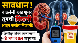 सावधान! ब्लड शुगर किडनीला आतून पोखरतेय? लघवीतून प्रथिने गळण्यामागचे ‘हे’ भयंकर सत्य जाणून घ्या!