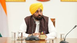 मुख्यमंत्र्यांच्या कानशिलात लगावली असं दाखवणारा AI व्हिडीओ अखेर भाजपाने हटवला, पंजाबमध्ये राजकीय वादंग