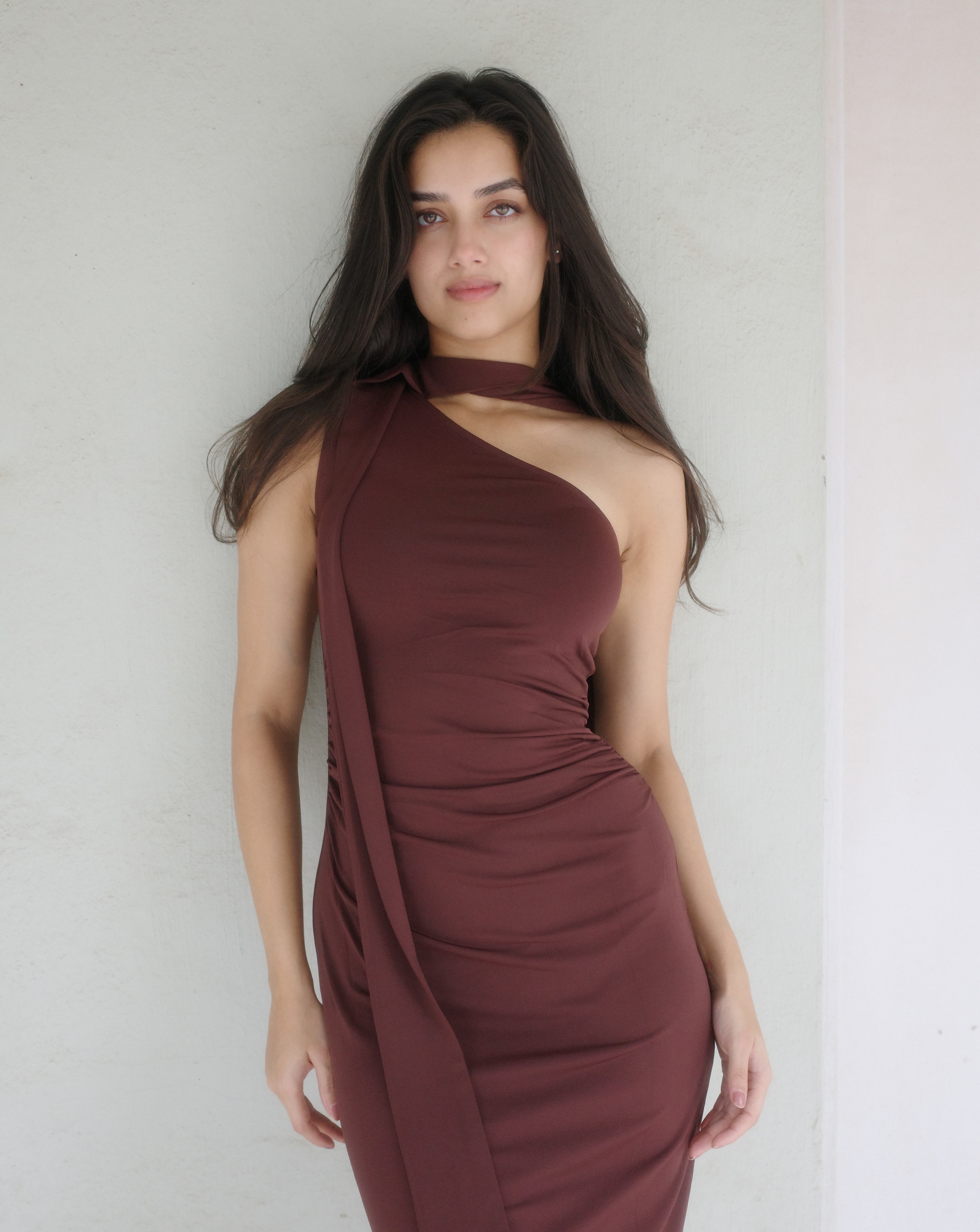 Bhagyashri Borse Brown Dress Look