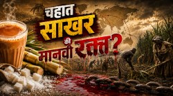 Bloody History of Sugar: साखरेच्या गोडव्यामागे रक्ताचे डाग? १५ लाख भारतीयांना करारबद्ध गुलाम करणाऱ्या साखरेचा कडू इतिहास काय?