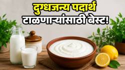 दही लावण्याची नवीन ट्रिक व्हायरल! दूध, लिंबू नाही; ‘या’ पदार्थापासून बनवा दही, तज्ज्ञांनी सांगितले फायदे, तोटे आणि बनवण्याची पद्धत