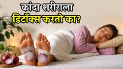 पायांना कांदा लावल्याने शरीर ‘डिटॉक्स’ होऊ शकते का? हे खरं की खोटं; डॉक्टरांनीच सांगितलं सत्य