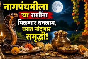 Chandra Gochar 2026 Impact