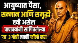 Chankya niti: आयुष्यात पैसा, सन्मान आणि समृद्धी हवी असेल चाणक्यांनी सांगितलेल्या ‘या’ ३ गोष्टी नक्की फॉलो करा