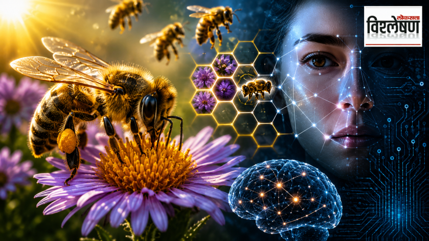 honeybee on a flower alongside a human face, glowing brain network, honeycomb patterns and digital circuitry, representing honeybee vision, facial pattern recognition and its potential influence on AI technology.