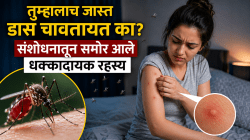 डास सर्वांना नव्हे, तर काही खास लोकांनाच चावतात? नव्या संशोधनातून उघड झाले वैज्ञानिक कारण!
