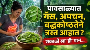 curry leaves health benefits in monsoon | curry patta benefits for digestion | curry leaves for diabetes control | ayurveda curry leaves raw consumption tips