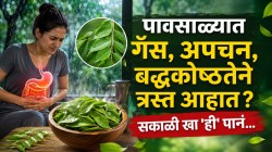पावसाळ्यात ‘ही’ हिरवी पाने ठरतील सुपरफूड; पचन सुधारण्यापासून इम्युनिटीपर्यंत मिळतील अनेक फायदे