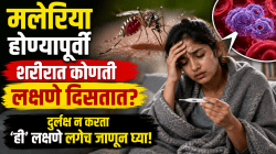 मलेरिया होण्यापूर्वी शरीरात कोणती लक्षणे दिसतात? दुर्लक्ष न करता ‘ही’ लक्षणे लगेच जाणून घ्या