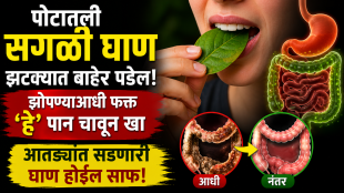 betel leaves benefits for gas bloating acidity