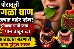 betel leaves benefits for gas bloating acidity