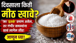दिवसाला किती मीठ खावे? जर ‘इतकं’ प्रमाण असेल; तर गंभीर समस्यांना द्यावं लागेल तोंड, जाणून घ्या