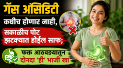 गॅस अ‍ॅसिडिटी कधीच होणार नाही, सकाळीच पोट झटक्यात होईल साफ; फक्त आठवड्यातून दोनदा ‘ही’ भाजी खा