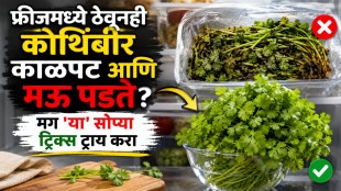 how to store coriander fresh in fridge | kothimbir taji thevnyachya tips marathi | kitchen hacks marathi | marathi lifestyle news